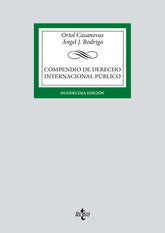 COMPENDIO DE DERECHO INTERNACIONAL PUBLICO - 9788430988150